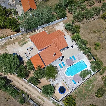 Mare With Pool *